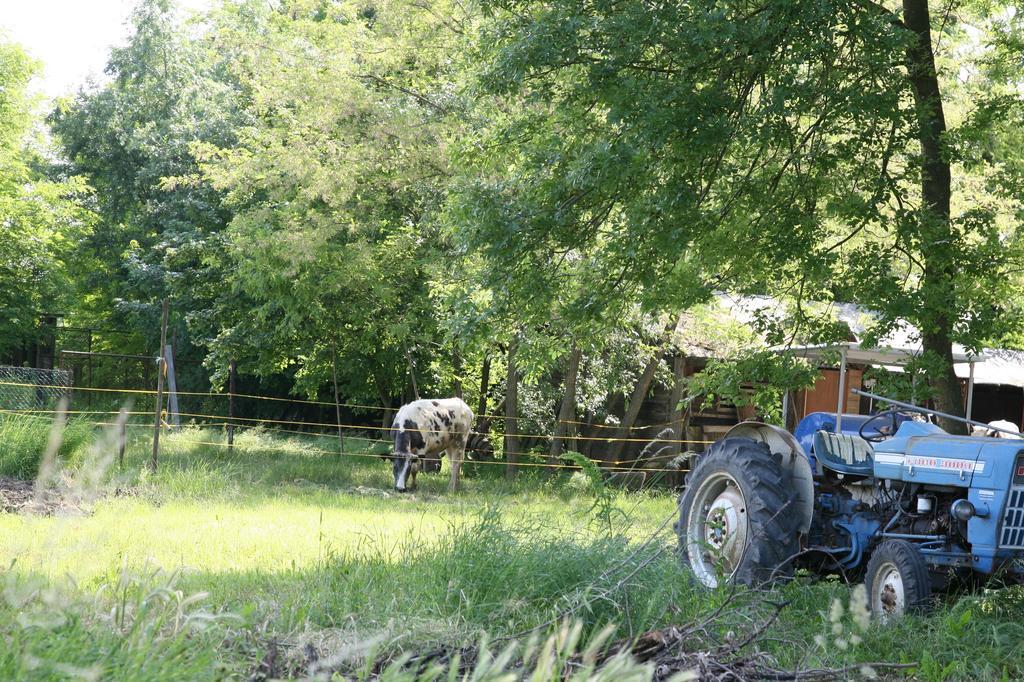 Agriturismo Maliso Ceggia المظهر الخارجي الصورة
